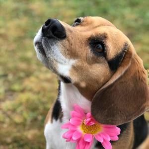 Meet your Posher, Maryam